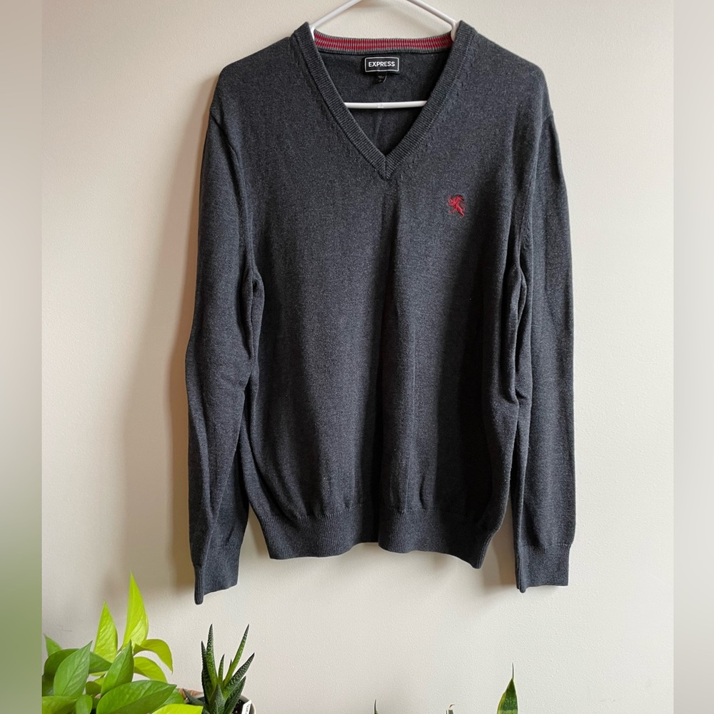 Express Mens sweater